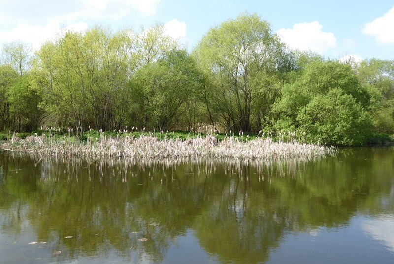 Old mill pond © Philip Halling :: Geograph Britain and Ireland