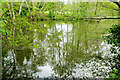 TQ3650 : Pond, Leigh Mill House by Derek Harper