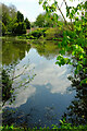 TQ3650 : Pond, Leigh Mill House by Derek Harper