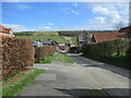 Looking  down  Church  Lane.  Millington