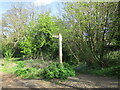 The beginning of a bridleway at Chelmarsh