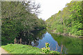 River Teifi below Cilgerran Castle