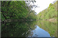 River Teifi below Cilgerran