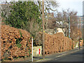 Elvaston Road near Overstone House