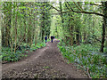 Bridleway Westmeston 11 heads north