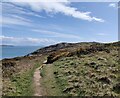 SH2279 : Anglesey Coastal Path at Graig Lŵyd by Mat Fascione