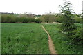 Footpath to Springfield Farm