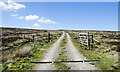 NY8308 : Hill road passing through gate in fence by Trevor Littlewood