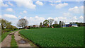 Cereal crop field near Trescott in Staffordshire