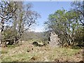 Ruin, Inchlonaig