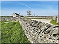 Dy stone walls near Litton