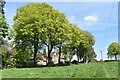 Line of trees and former vicarage, West Tisted