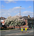 Junction of Strawberry Avenue and Huddersfield Road (A62), Liversedge