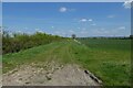 Track off Wallingfen Lane