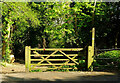 TQ3557 : Gate beneath trees, Warlingham by Derek Harper