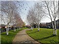 Linear Park adjacent to Harpers Pond Lane