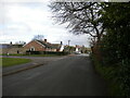 Jacksons Lane, Great Chesterford (1)