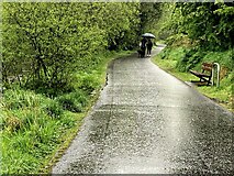 H4772 : Wet morning along the Highway to Health path at Mullaghmore by Kenneth  Allen