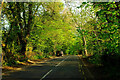 Church Road, Whyteleafe