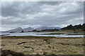 Loch Laich and Castle Stalker