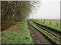 Rutted track near Dunsinnan