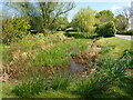 Pond alongside Crocken Hill Road