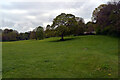 Playing Field, Kirkstall Abbey, Leeds