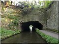 SJ8219 : Shropshire Union Canal - Cowley Tunnel by Rob Farrow