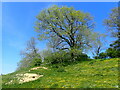 The Greensand Way approaching Egerton