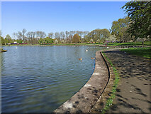 NS6062 : Richmond Park by Thomas Nugent