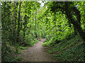 Bridleway 1544 towards Broadfield Brook