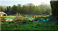 Allotments, Whyteleafe