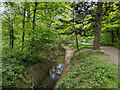 Broadfield Brook looking downstream