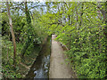 Broadfield Brook downstream of Mowbray Drive/Gossops Drive bridge