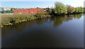 The River Clyde in Glasgow