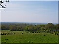 SO9173 : View from Line Hill, Chaddesley Woods National Nature Reserve by Jeff Gogarty