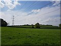 Pylons near Chaddesley Woods 