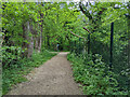 Bridleway 1544 heading north, Bewbush, Crawley