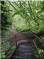 Steps down to Habberley Valley