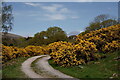 Eskdale Green