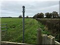SJ0175 : Footpath at a field boundary  by Eirian Evans