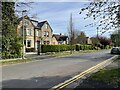 Houses along Cavendish Avenue