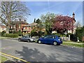 Houses along Cavendish Avenue