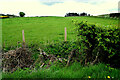 Aghafad Townland