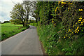 Kilnahusogue Road, Aghafad