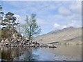 NN0391 : Bouldery headland, Loch Arkaig by Richard Webb