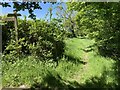 Stents Lane near Bookham Lodge