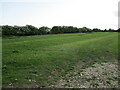 Ridge and furrow near Caldecott