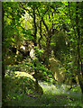 Rocks in Sunny Copse