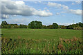 Pasture south of Barlaston in Staffordshire